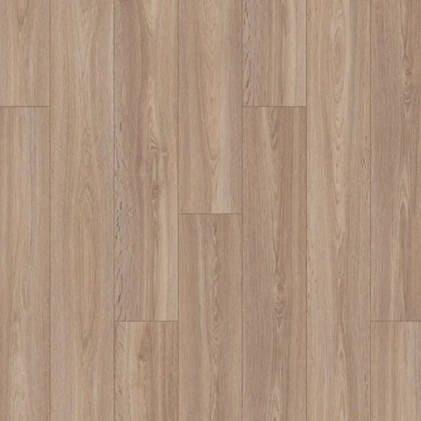 Desert Oak 8199