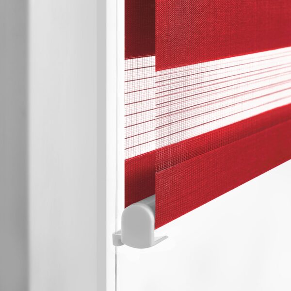 Zebra Blind - Image 4
